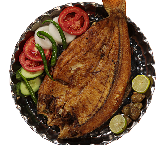 ماهی قزل آلا