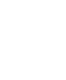 پلوکبابی امیر